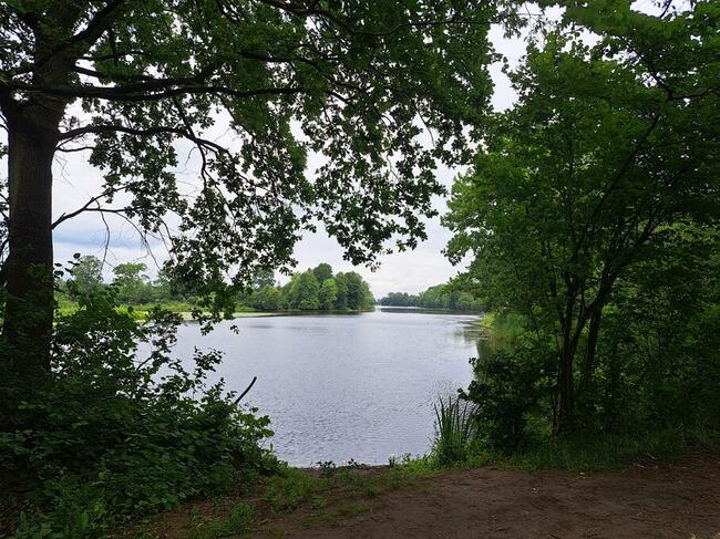 Działka nad jeziorem rokola otwock wielki