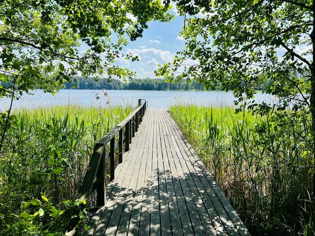 Domki do wynajęcia Augustów - Płaska - nad Jeziorem Paniewo