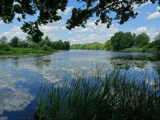 Działka nad jeziorem rokola otwock wielki