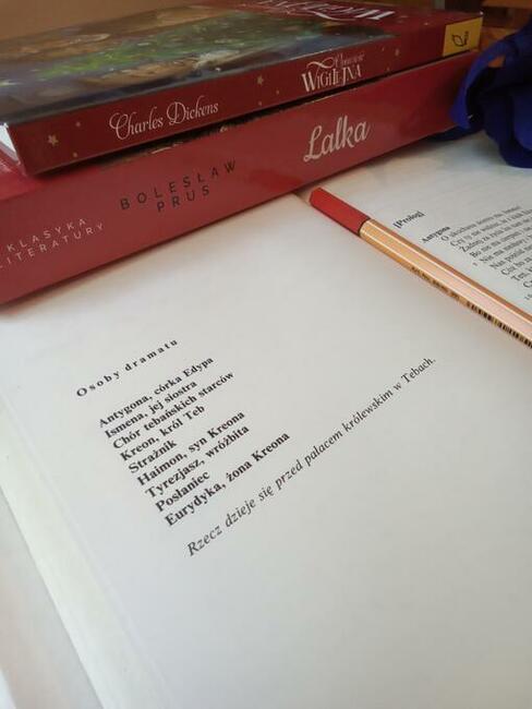 Język polski- korepetycje! Matura! Korekta tekstów.