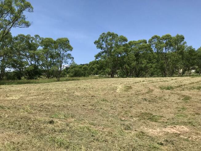 Działka rolna Pewel Wielka gm. Jeleśnia Buławka,