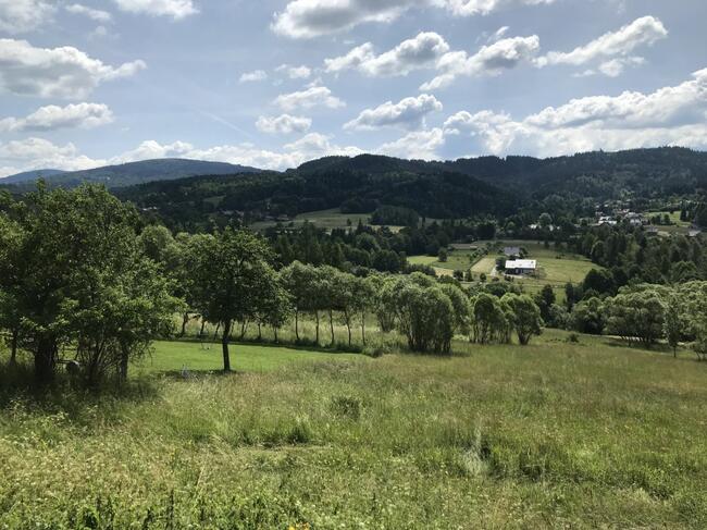 Działka rolna Pewel Wielka gm. Jeleśnia Buławka,