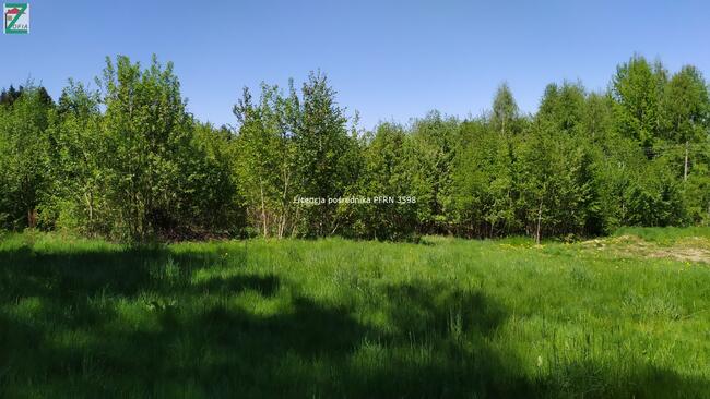 Działka budowlana ROKICINY PODHALAŃSKIE gm. Gm. Raba Wyżna