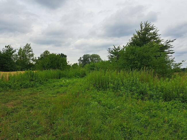 Działka nad jeziorem rokola otwock wielki