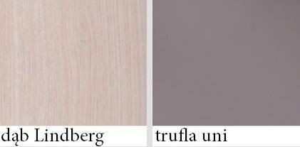 Pojemna 3-drzwiowa szafa LONDYN