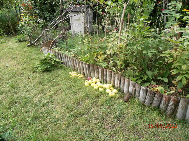 Sprzedam działkę rekreacyjną - ogrodzona na Retkini