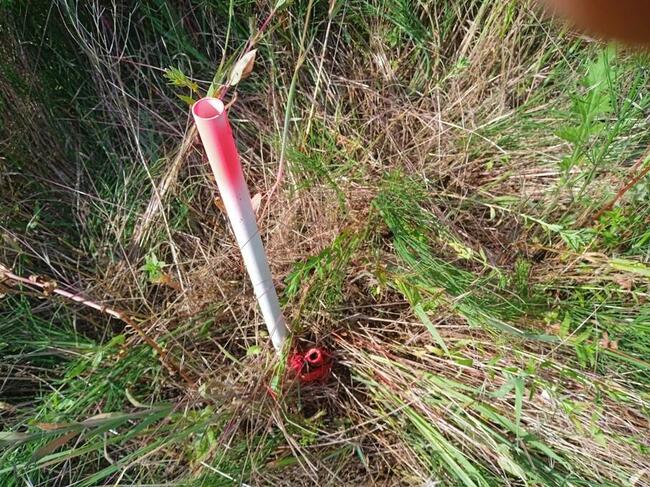 Działka budowlana w miejscowości Turów