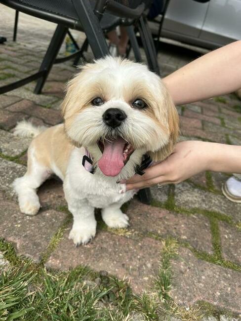 Szukam drugiej połówki serduszka ....