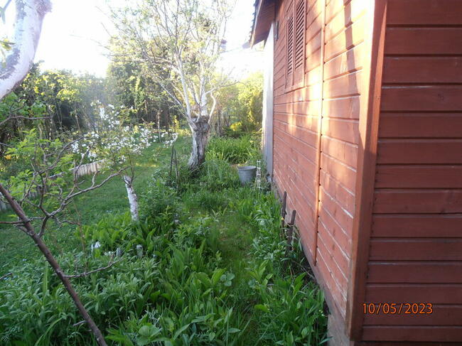 Sprzedam działkę rekreacyjną - ogrodzona na Retkini