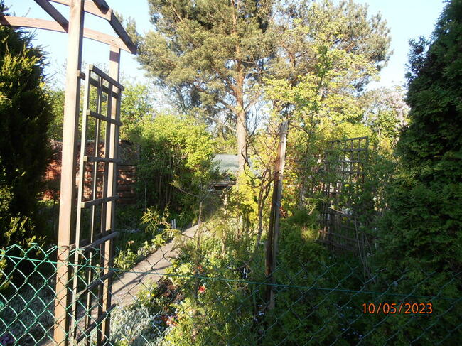 Sprzedam działkę rekreacyjną - ogrodzona na Retkini