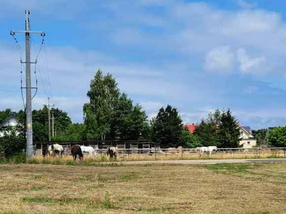 Klimatyzowany, komfortowy domek do 8 osób w Sasinie k.Łeby