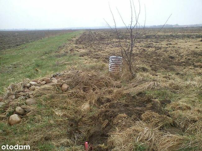 Pisarzowice, działka budowlana o pow. 1274 m2