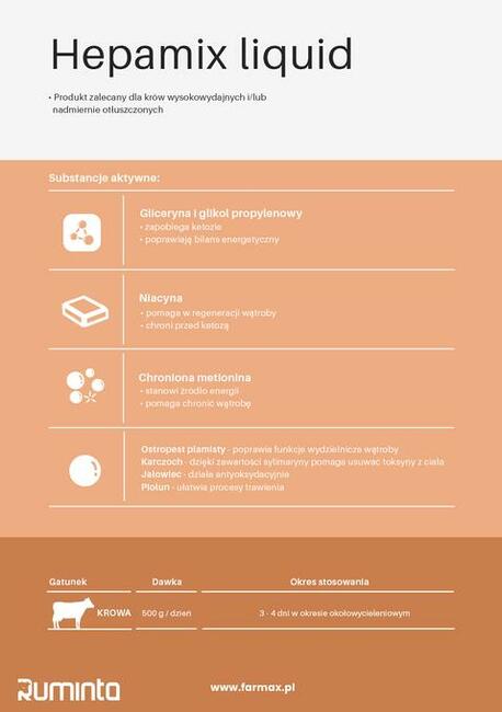 RUMINTA Wspomaga pracę wątroby Hepamix liquid 5kg