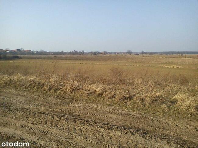 Pisarzowice, działka budowlana o pow. 1274 m2