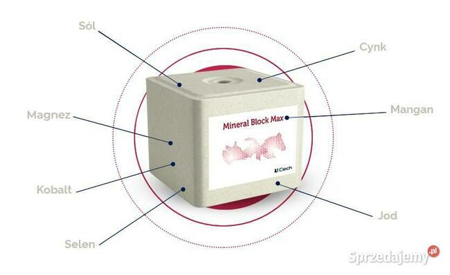 Lizawka solna Ciech Mineral Block Max paleta 96 sztuk SELEN
