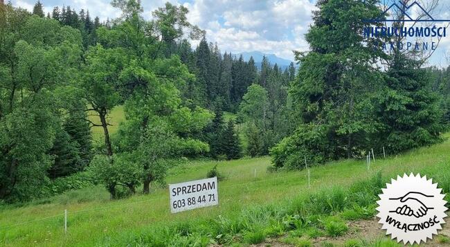 Działka Rzepiska gm. Bukowina Tatrzańska, Potok Grocholów