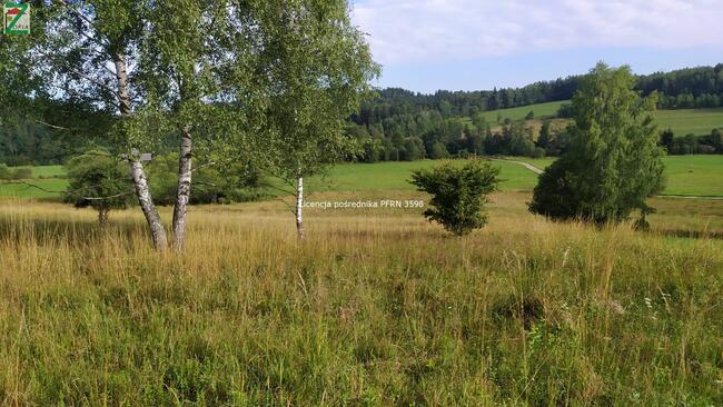Działka budowlana JORDANÓW