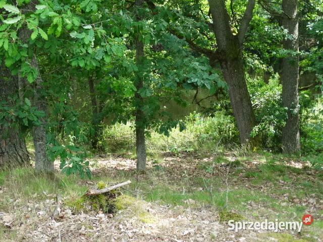 Kameralna działka na Kaszubach niedaleko jeziora