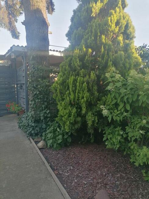 Działka rekreacyjna