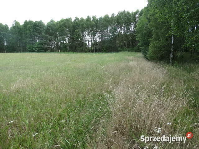 Kameralna działka na Kaszubach niedaleko jeziora