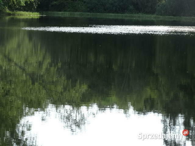 Kameralna działka na Kaszubach niedaleko jeziora