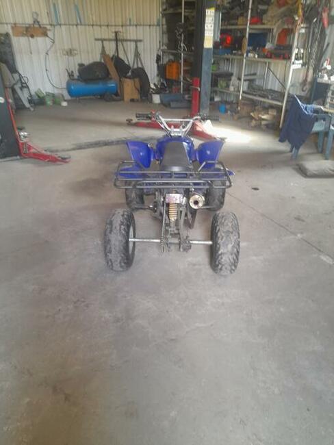 Quad ATV 110