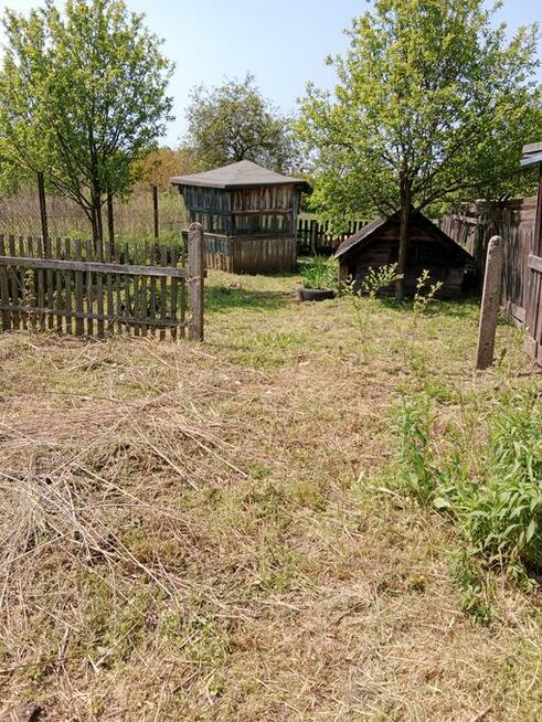 Marciszów z potencjałem