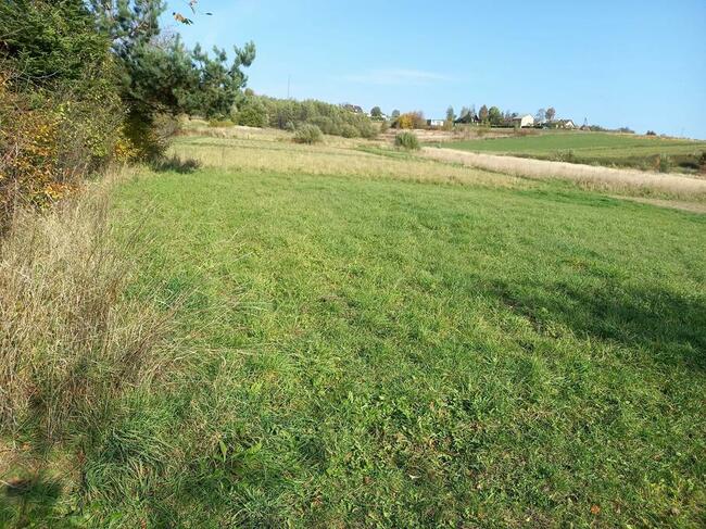 Sprzedam dom na działce 21,87 ar w Sadkach woj. podkarpackie