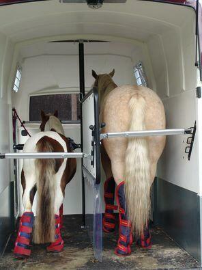 Wypożyczalnia przyczep dla koni oraz transport koni