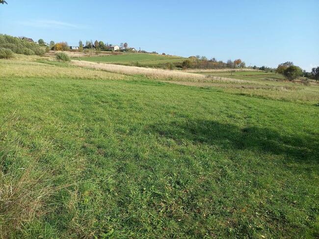 Sprzedam dom na działce 21,87 ar w Sadkach woj. podkarpackie