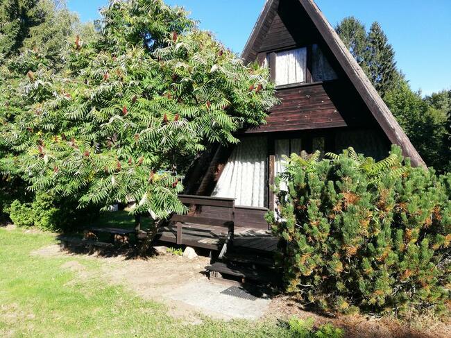 Sprzedam lub wydzierżawię O.W.CZAPLA 76-015 Mostowo 7