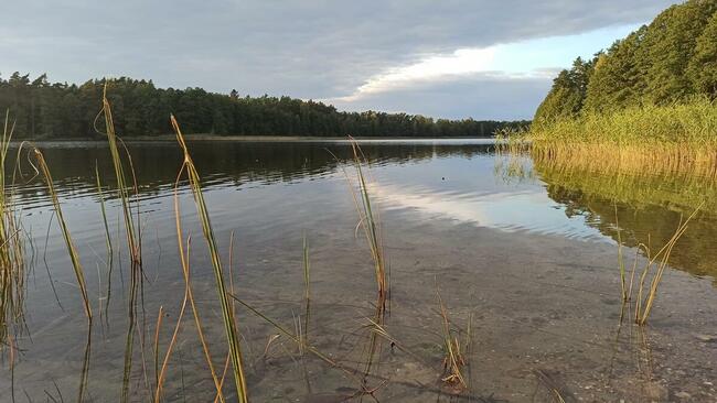 Mazury, zapraszam do domku 10-osobowego