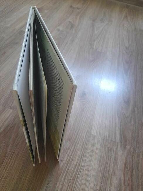 Lasy tropikalne. Atlas. Co i jak Tom 18 Mertiny Andrea