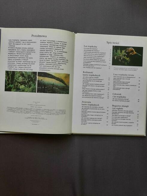 Lasy tropikalne. Atlas. Co i jak Tom 18 Mertiny Andrea