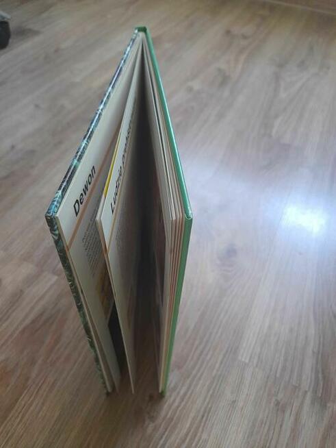 Pochodzenie życia. Encyklopedia wiedzy i życia C. Twist