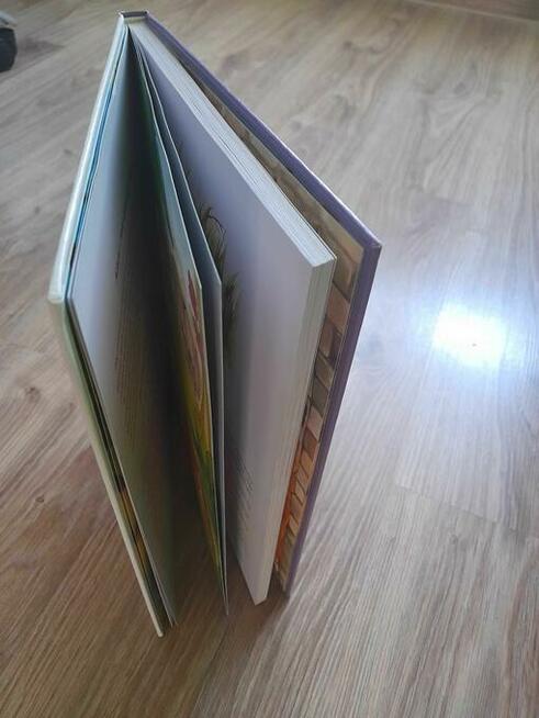 Biblia dla dzieci ilustrowana wyd. zielona sowa