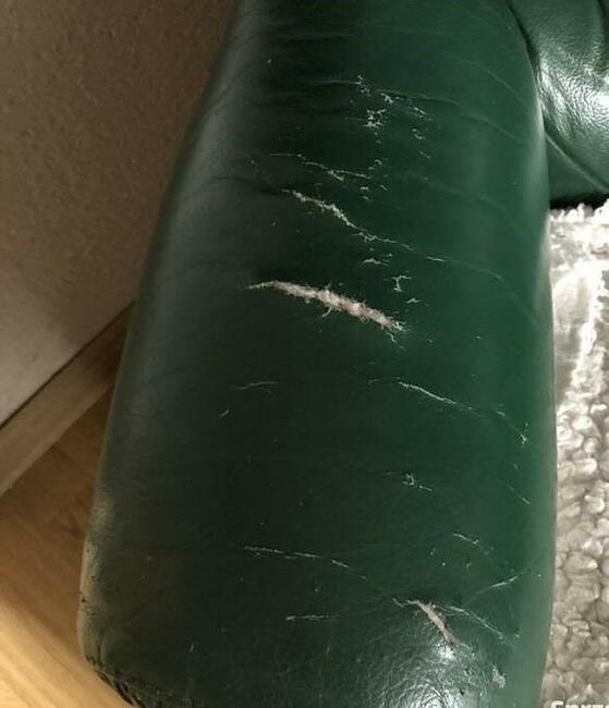 Sofa i dwa fotele - skóra - antyk