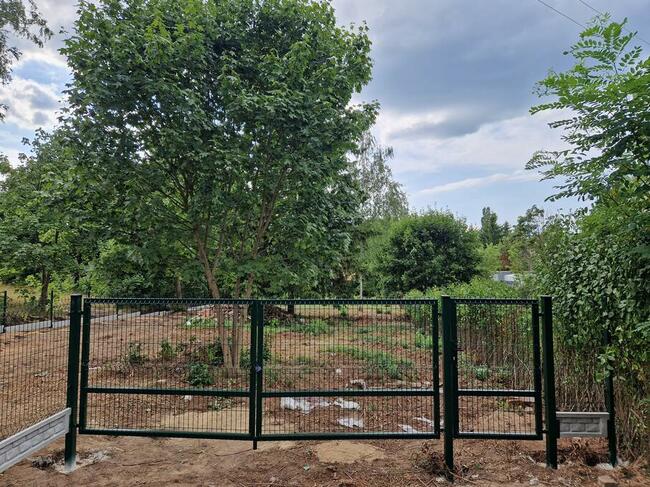 Ogrodzenie z siatki ocynkowanej