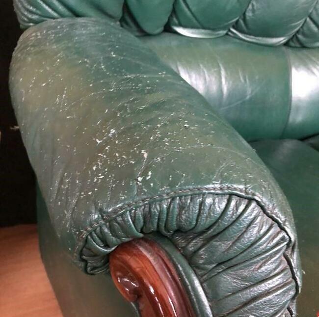 Sofa i dwa fotele - skóra - antyk