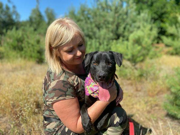 Portos - domowy, młodziutki psiak szuka domu!