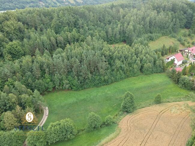 Piękny teren przy jeziorze Brodnica Kaszuby