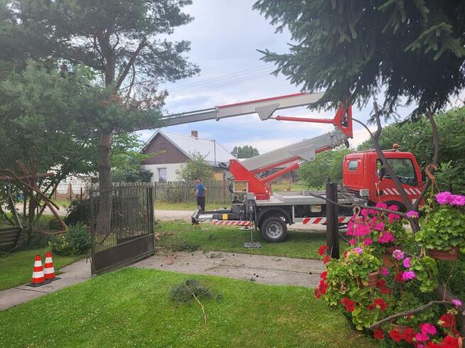 usługi mycia Elewacji ,kostki ,dachów ,wycinka drzew