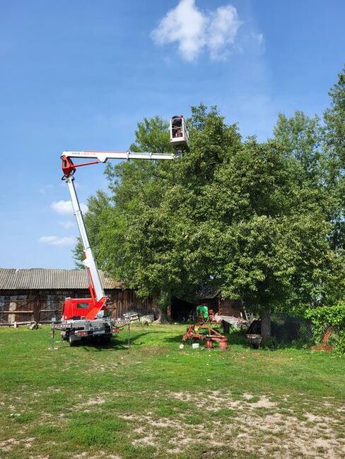 usługi mycia Elewacji ,kostki ,dachów ,wycinka drzew