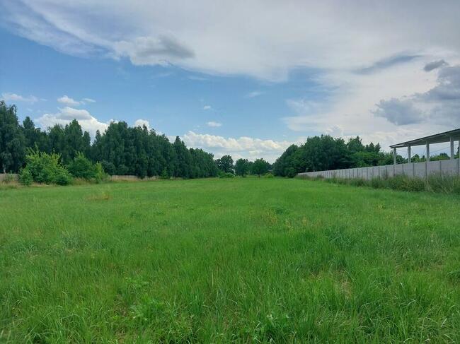 Największa działka w mieście