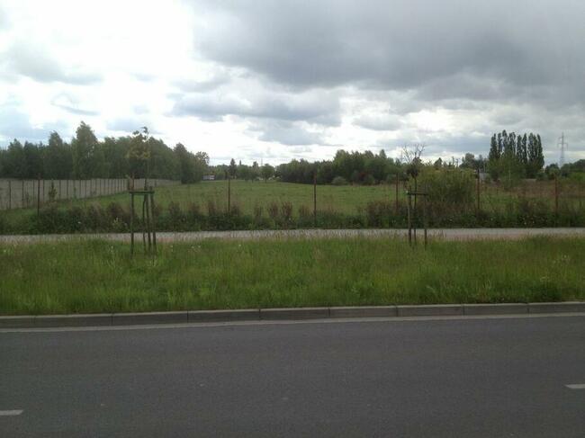 Największa działka w mieście