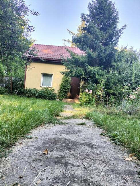 Działka ROD Kraków Wanda