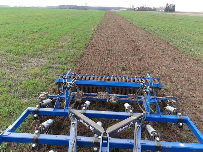 uprawa bezorkowa Usługi siew kukurydzy