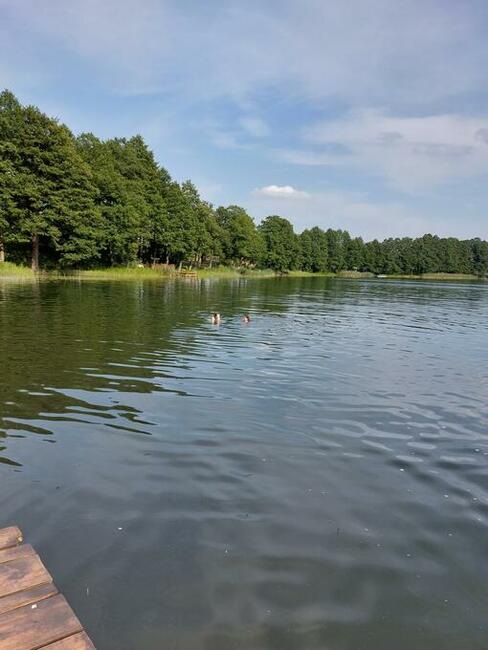 Domek holenderski-Siedlisko Kalimera