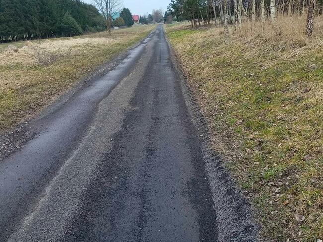 Zalesiona działka