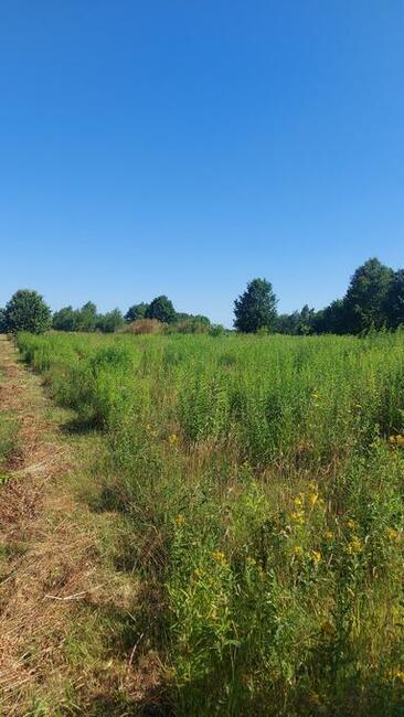 Wojsławice gmina Koziegłowy działka z rozpoczętą budową
